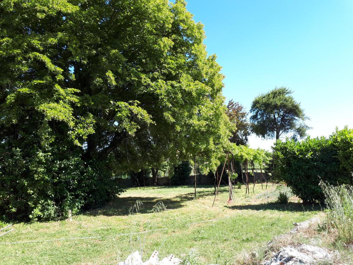 Villa Saint-Privat Pouzilhac Exteriör bild